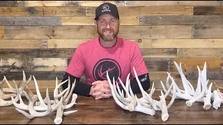 Antler Grading Explained