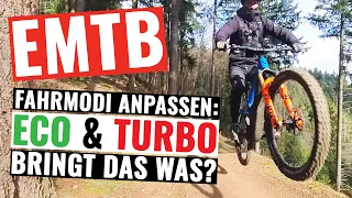 Bosch E Bike Fahrmodi anpassen via FlowApp - Bringt das was?