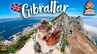 🇬🇧🐒 Gibraltar, The Great Tour! 4K (Ultra HD) Walking Virtual Tour UK (2021)