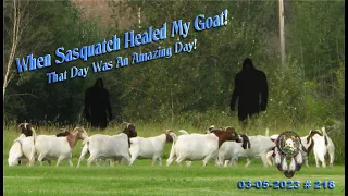 THE SASQUATCH HEALED MY GOAT! THAT DAY WAS AN AMAZING! DAY. Read Below