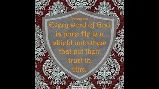 Proverbs 30:5  Word of God is pure to shield us