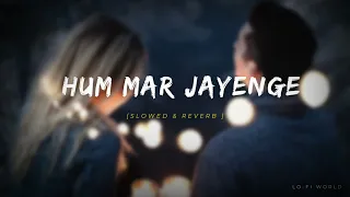 Hum Mar Jayenge - (Slowed + Reverb) | Arijit Singh |Lo-Fi world