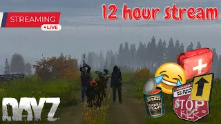 Dayz1.19 official tings long stream