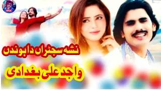 Nasha Sajna Da Wajid Ali Baghdadi New Saraiki Punjabi #songs