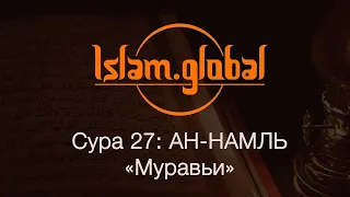 Коран Сура 27 ан Намль Муравьи (русские субтитры) Мишари Рашид Аль Афаси