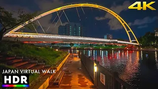 Tokyo bay waterfront night walk • 4K HDR