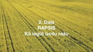 Rapsis - BASF un Yara virtuālā lauka diena 03.06.2020.