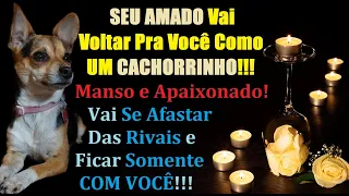 ORAÇÃO PARA SEU AMADO VOLTAR MANSO E APAIXONADO COMO UM CACHORRINHO!