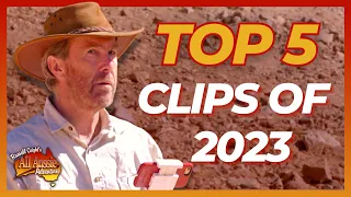 Your Favourite Coight Clips of 2023! | All Aussie Adventures