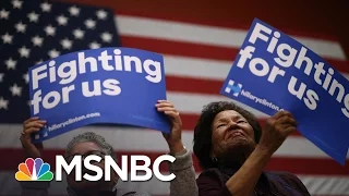Hillary Clinton Voters Call To Overturn Results | MSNBC