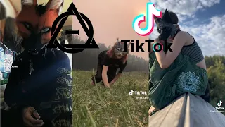 Therian and Quadrobics TikToks || Compilation 🐾🍂 || Alterhumans of TikTok #8