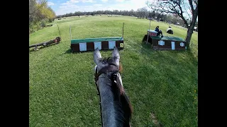 HELMET CAM XC: Trip to Cairo (Beginner Novice Rider | 2024 Meadow Creek Park 3/9 Schooling HT)