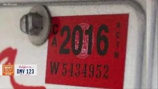 Why Guy: Why don't police pull over drivers with expired license plate stickers?