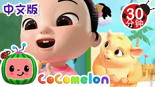 班级宠物歌 | 大合集 | 經典熱門兒歌 | Kids Song | 動畫 | 童謠 | 儿童学习 | 卡通片 | CoComelon 中文 | Nursery Rhymes