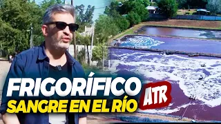 ¡FRIGORÍFICO ATR! "LA SANGRE LLEGA AL RÍO" 🔥 IMPRESIONANTE INFORME DE MARTÍN CICCIOLI 🔥