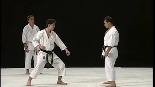 Naka Tatsuya sensei vs Yamamoto Hideo sensei. Yakusoku-kumite