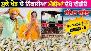 ਛੜੇ ਦੇ ਸੁਕੇ ਖੇਤ ਚੋ ਨਿੱਕਲੀਆ ਮੱਛੀਆਂ • SHADAA SKIMI NO -1 Epi - 5 | NEW PUNJABI COMEDY MOVIE |