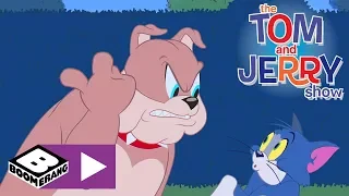 Tom și Jerry | Scuze | Cartoonito