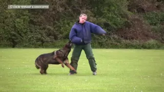 BEST POLICE DOG TRAINING