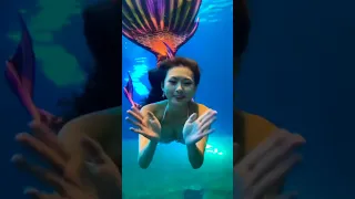 Human Mermaid,Ocean Park Hulien Taiwan #Mermaid #short