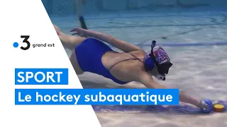 Sport insolite : le hockey subaquatique, du hockey sous l'eau