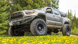 Tacoma 1 Year Review | Pros and Cons of my BUILT Tacoma