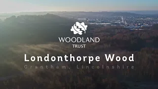 Londonthorpe Wood - Woodland Trust and The National Trust