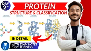 protein biochemistry | structure of protein biochemistry | classification of protein