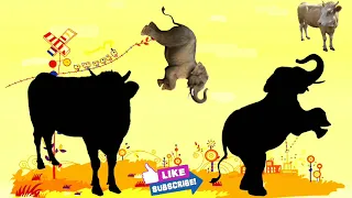 cute animals cow and elephant, choose the right horse, elephant or cow