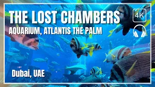 DUBAI 🇦🇪 | 4K Walking Tour at The Lost Chambers Aquarium in Atlantis the Palm | MiCHEL 💕