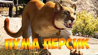 FAR CRY 5 - ПУМА " ПЕРСИК "