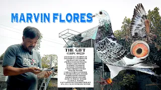 Full Video of Marvin Flores ng Cabiao | Pigeon Insider | Home of the Champion