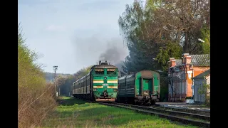 Место встречи поездов, людей и судеб. Приветствие поездов по ст. Гырбова