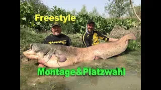 Welsangeln - Freestyle - Montage & Platzwahl, Auslegen, Bootsangeln, Köderfisch by Stefan Seuß