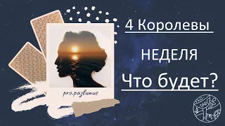 4 Королевы - НЕДЕЛЯ - главные события #любовь #психология #таро #астрология #4королевы