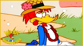 Woody Woodpecker Show | Fake Vacation | English Full Episode | Cartoons For Children