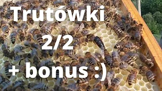 #25 Jak ratuje strutowiałe rodziny 2/2  - rezultat