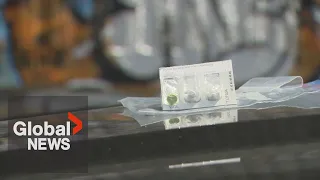 Are "safe supply" drugs being sold and traded on the street? Global news tests claim