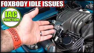 STOP BLAMING YOUR IAC VALVE! There could be other factors at play here (FOXBODY)