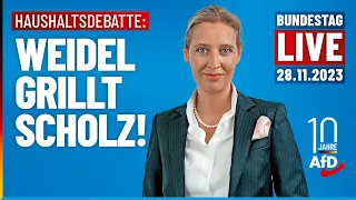 LIVE: Weidel grillt Scholz im Bundestag!  - AfD