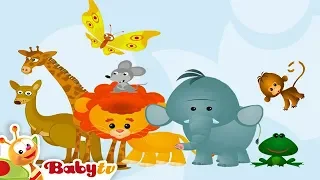 Wild Animal Sounds and Names for Kids & Toddlers 🦁 🐻 🐵 | @BabyTV