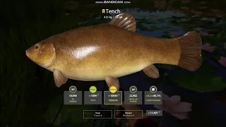 Russian Fishing 4 l Akhtuba River l Trophy Tench 4.51 kg