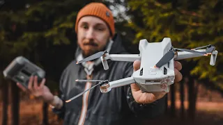 Wpadłem w Drzewo DJI Mini 3