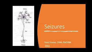 Seizure Review and Update on Anticonvulsants