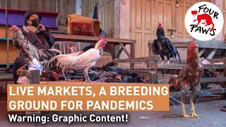 #TheySufferWeSuffer🦠🐾: This is the reality in live animal markets | FOUR PAWS UK