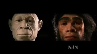 PBS Nova Documentary Collection: Homo Sapiens The Birth of Humanity