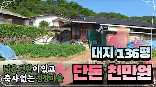 대지 136평 반듯한 시골집이 1,900만원 하지만 천만원이하로 떨어져요