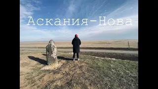 Аскания-Нова - место, где я родилась/ДАШКИН ВЛОГ