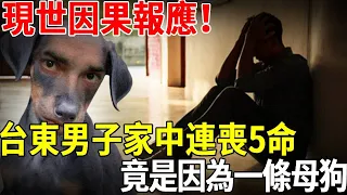 因果報應現世就到！小夥一月內家中連喪五命，哪知竟是因此事遭了報應！看明白的趕緊用高僧的這個方法，消減惡業！#聽佛