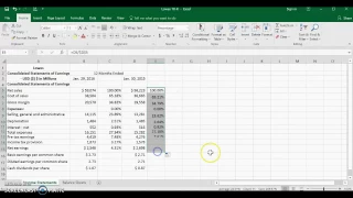 Creating Vertical & Horizontal Analysis Statements Company Projects